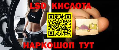 гашик Краснознаменск