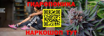 гашик Краснознаменск