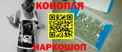 гашик Краснознаменск