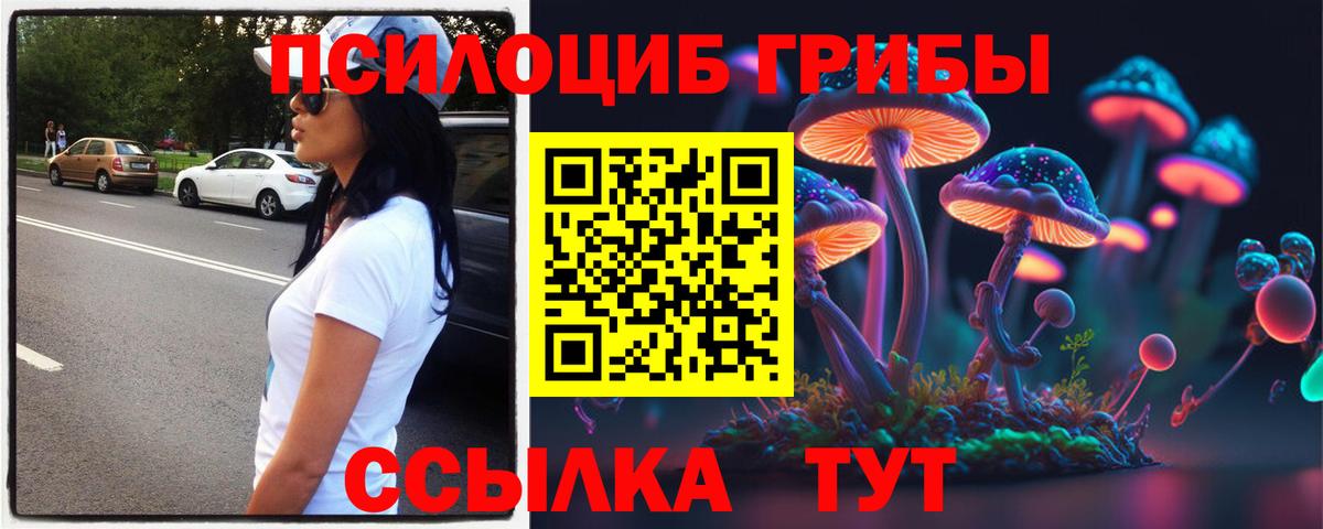 Вятские Поляны  Псилоцибиновые грибы GOLDEN TEACHER  Вход с VPN 